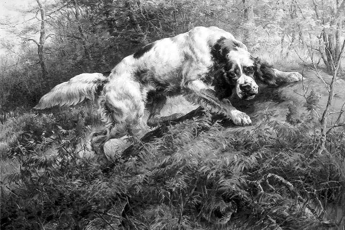 Five Bird Dogs that Changed History