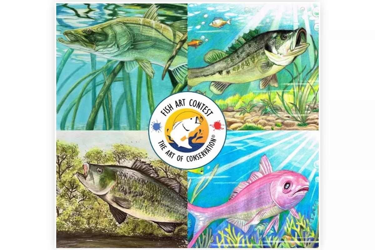 Florida State Fish Art Contest Winners Announced
