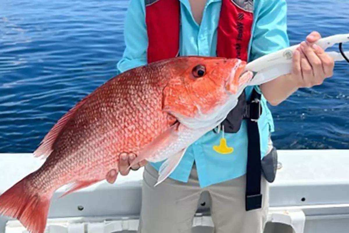 Record 103-Day Gulf Red Snapper Recreational Season Set for 2024