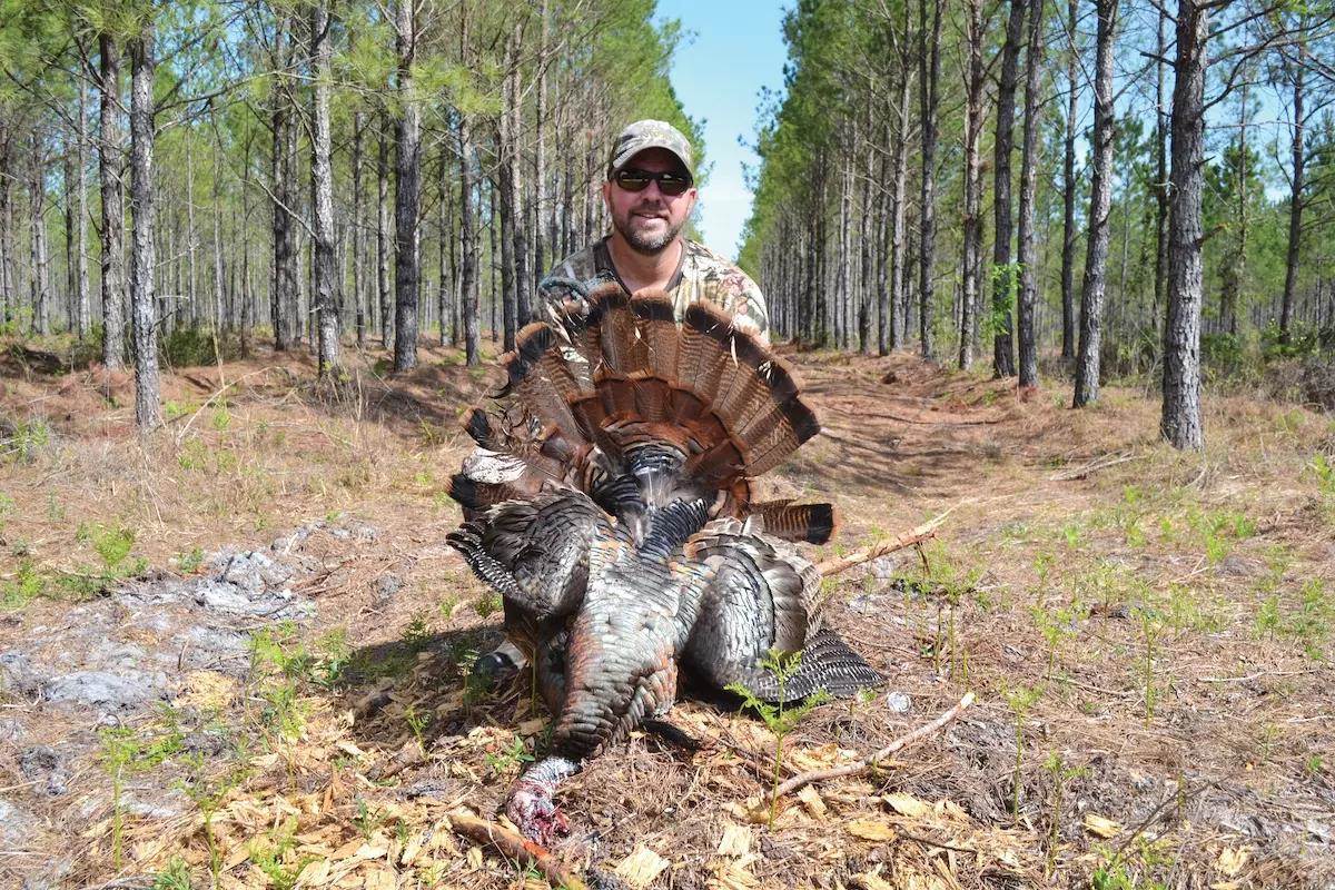 Wild Turkey 2.0: Hunting Florida's Eastern Gobblers - Florida