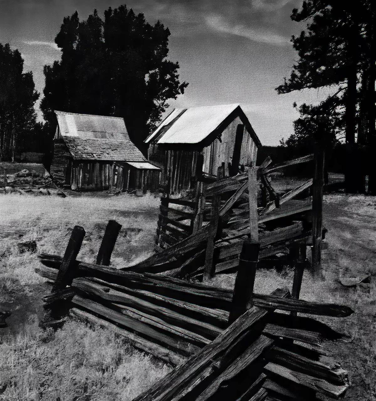 A black and white photo of a zig-zagging wood fence near some barns. 
