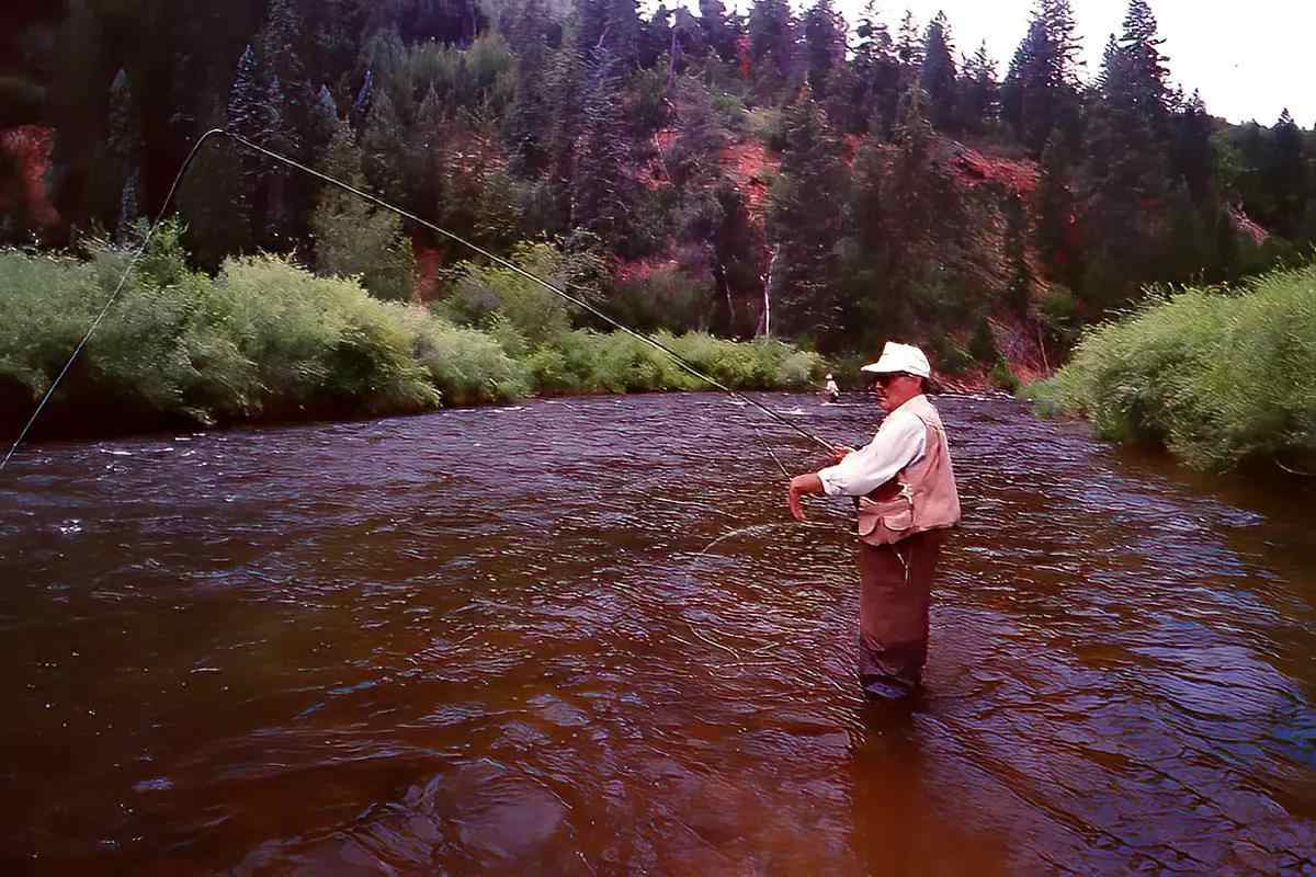 A fly angler fishing in a river; green shrubbery surrounds the river and a canyon wall is in the background.