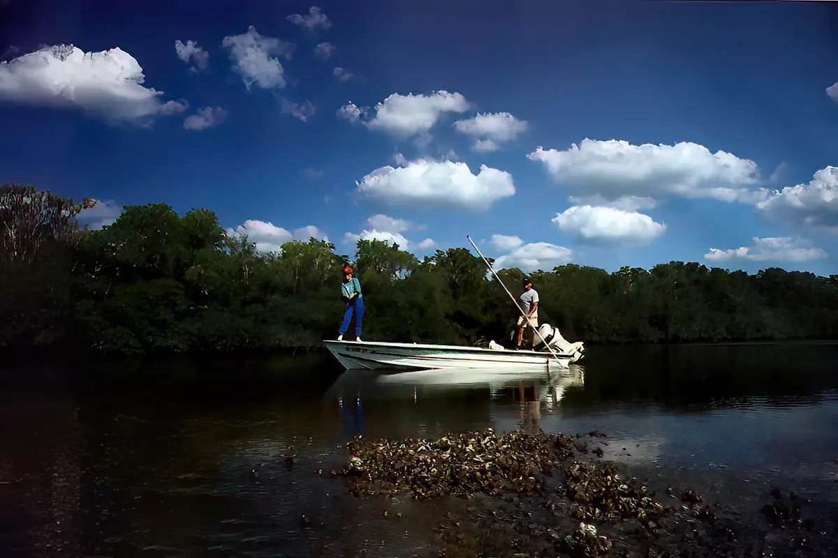 A fisherman fly casting in the front of a flats boat; a guide in the back poling.
