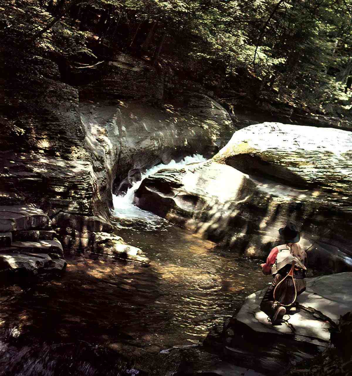 A fly angler kneeling and casting up into a small cascade on a shaded creek. 