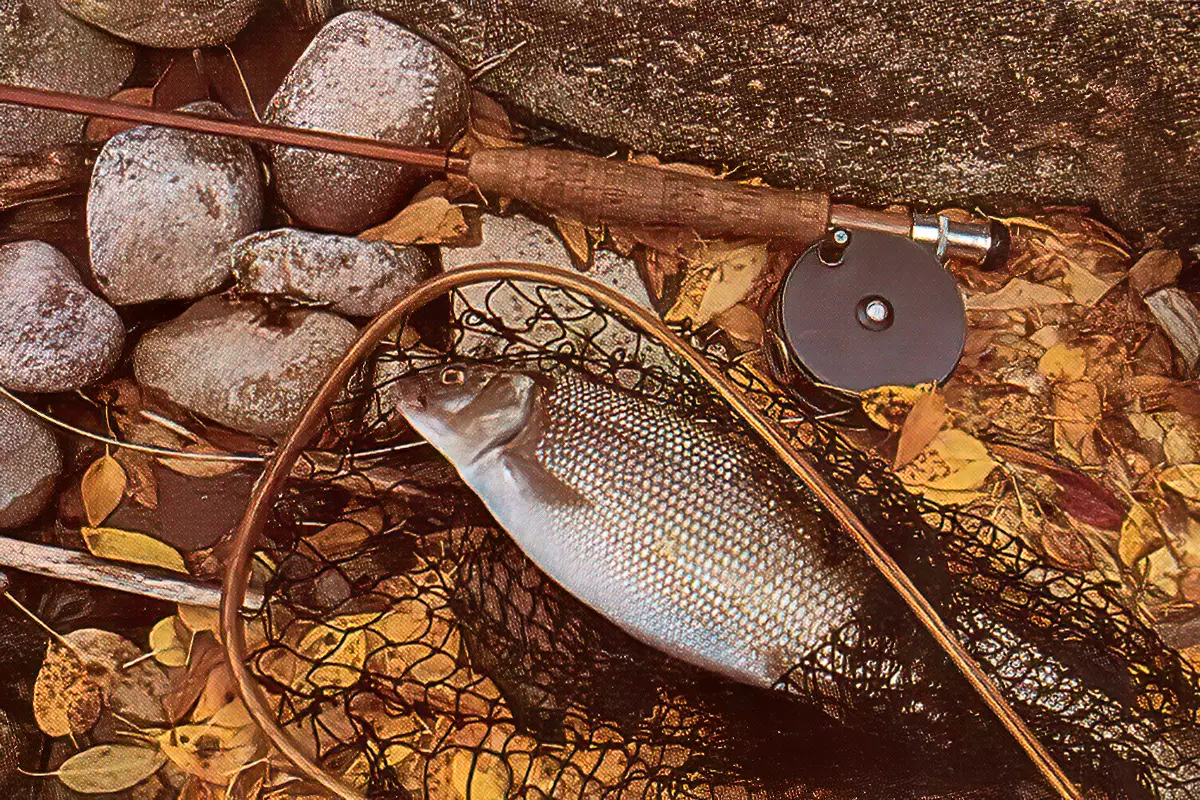 cristo meadow fishing lure Mojo Bass Fly Rod: Lobs Large Bugs, Feeds Bass in their Face