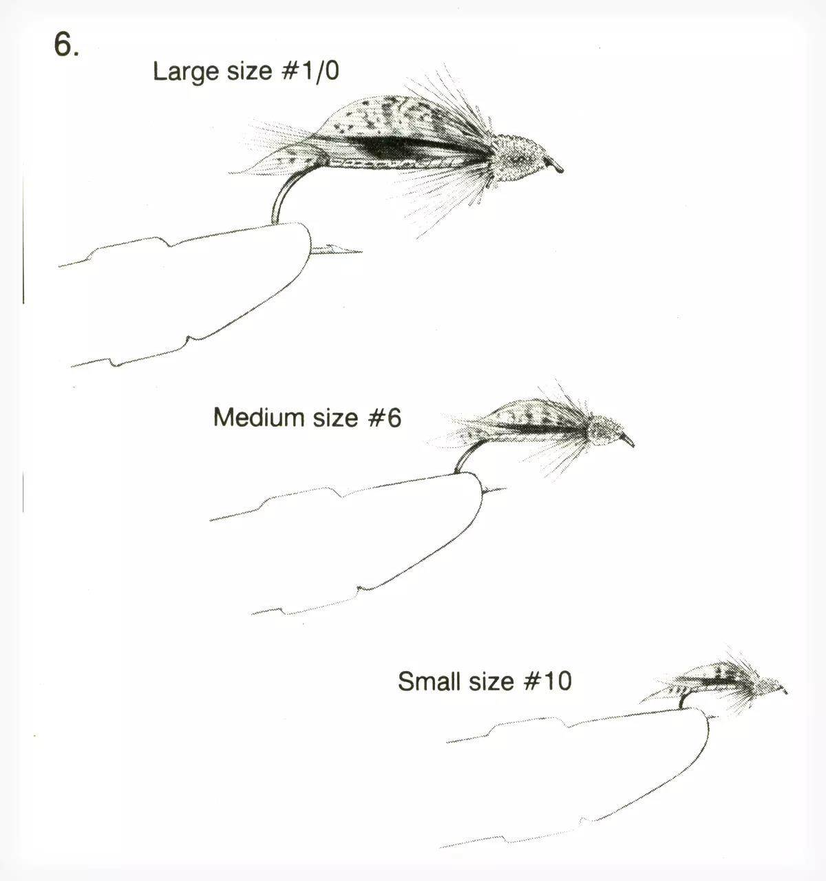 An illustration of a fly-tying tip.