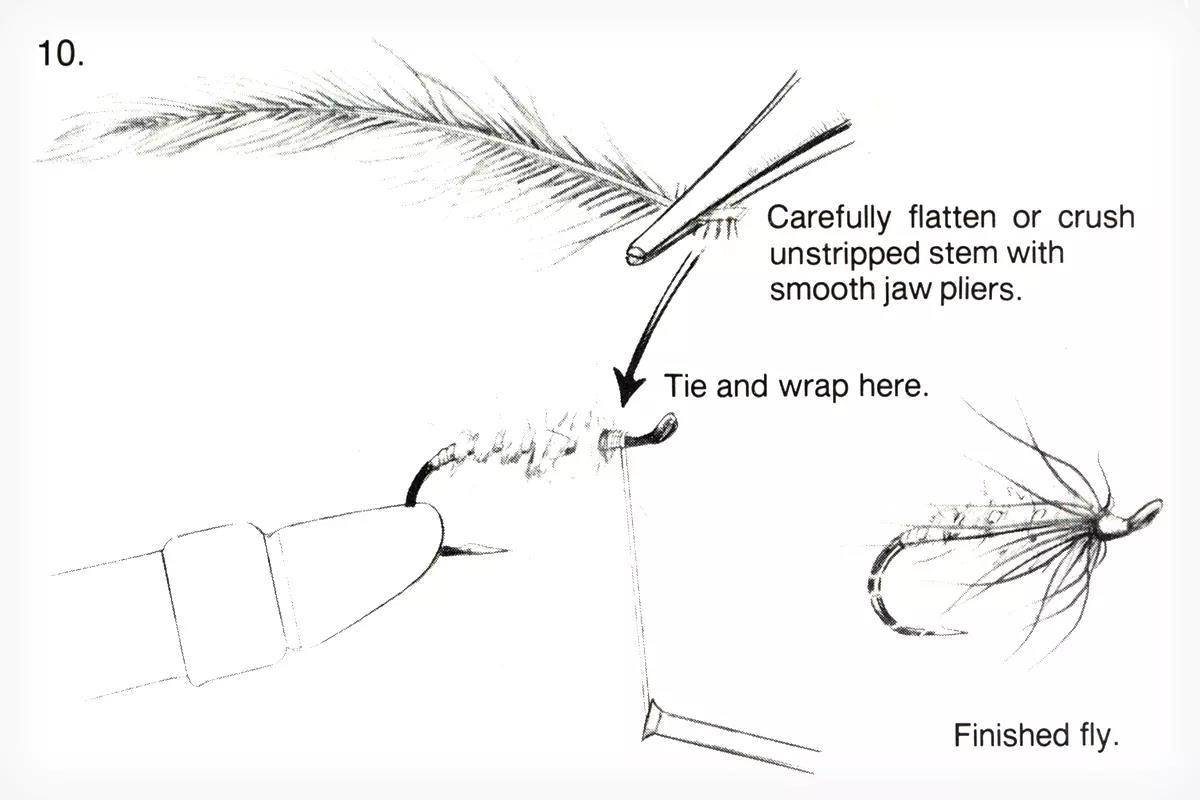 An illustration of a fly-tying tip.