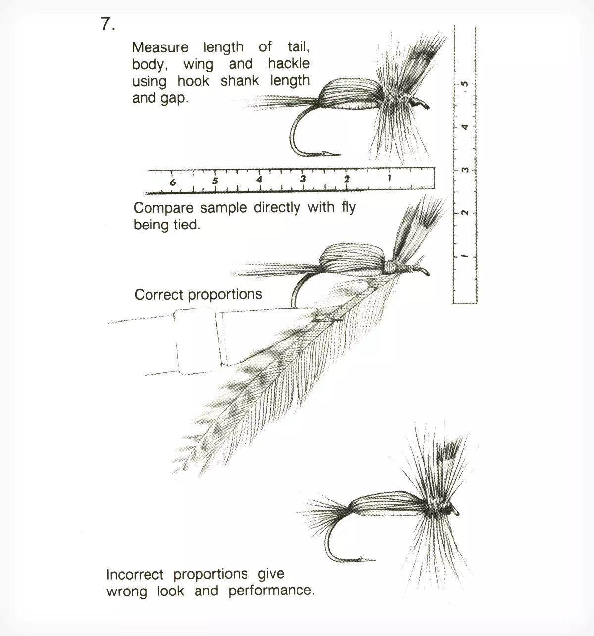 An illustration of a fly-tying tip.