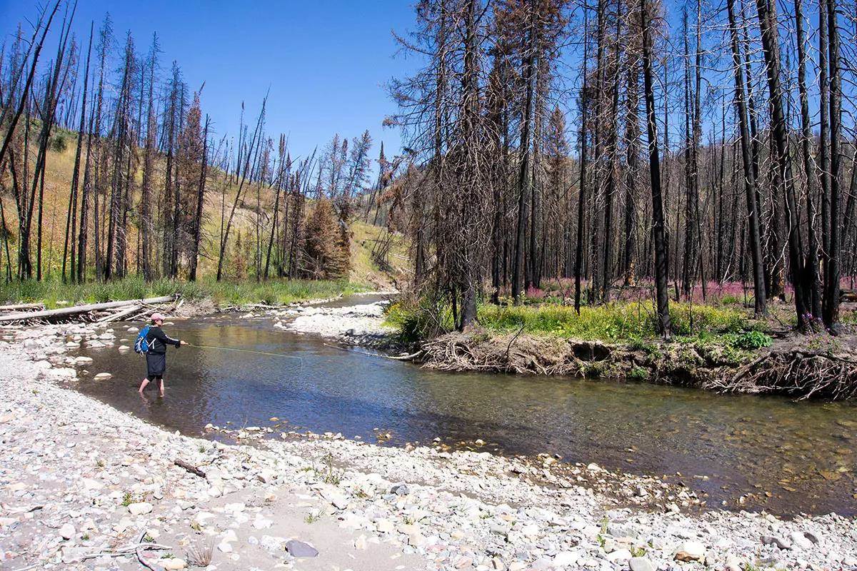 Fly Fishing in Extremes: How to Catch Trout in High and Low - Fly Fisherman