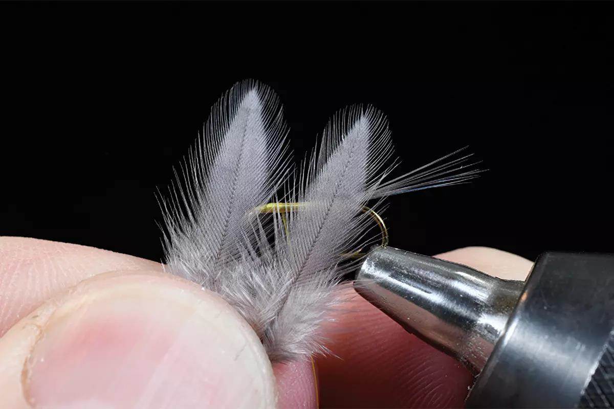 A step in a fly-tying tutorial; a hook and materials in a vise. 
