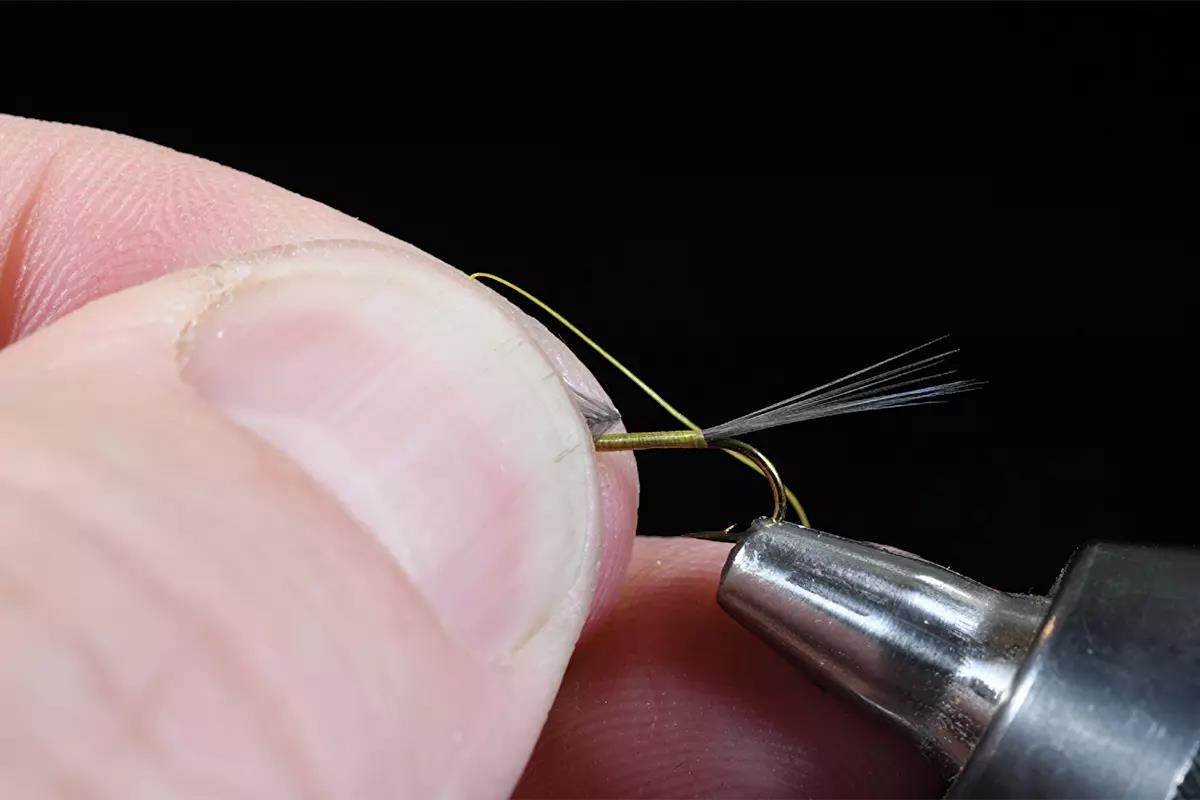 A step in a fly-tying tutorial; a hook and materials in a vise. 
