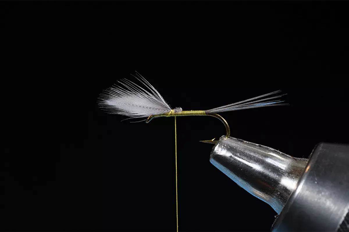 A step in a fly-tying tutorial; a hook and materials in a vise. 