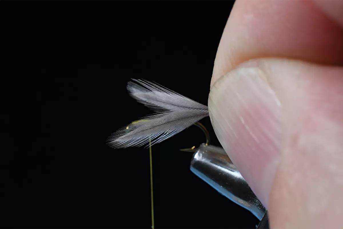A step in a fly-tying tutorial; a hook and materials in a vise. 