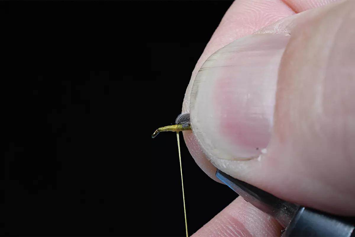 A step in a fly-tying tutorial; a hook and materials in a vise. 