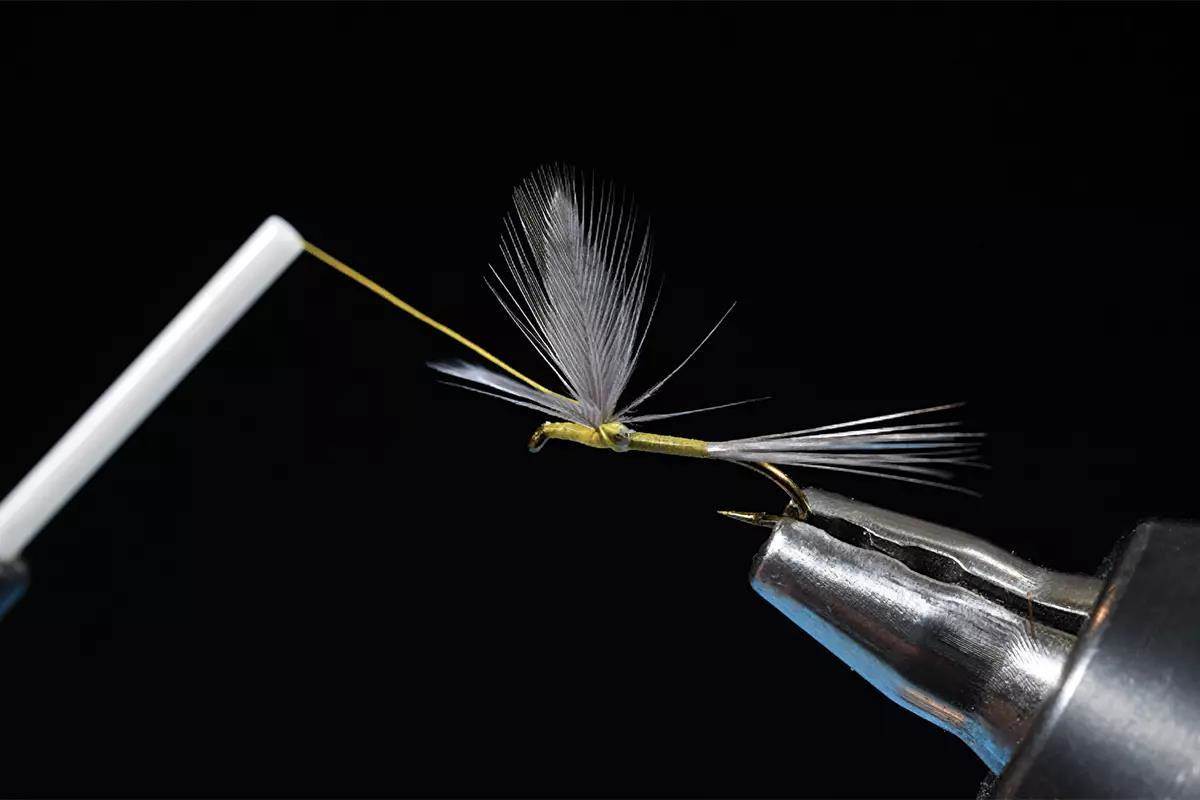 A step in a fly-tying tutorial; a hook and materials in a vise. 