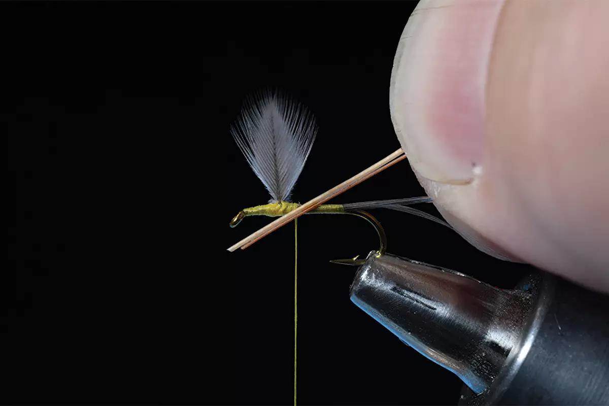 A step in a fly-tying tutorial; a hook and materials in a vise. 