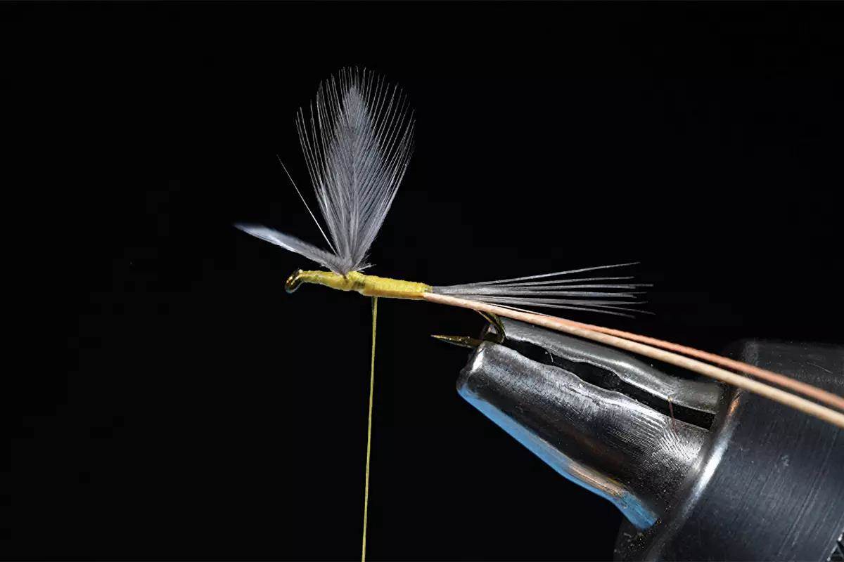 A step in a fly-tying tutorial; a hook and materials in a vise. 