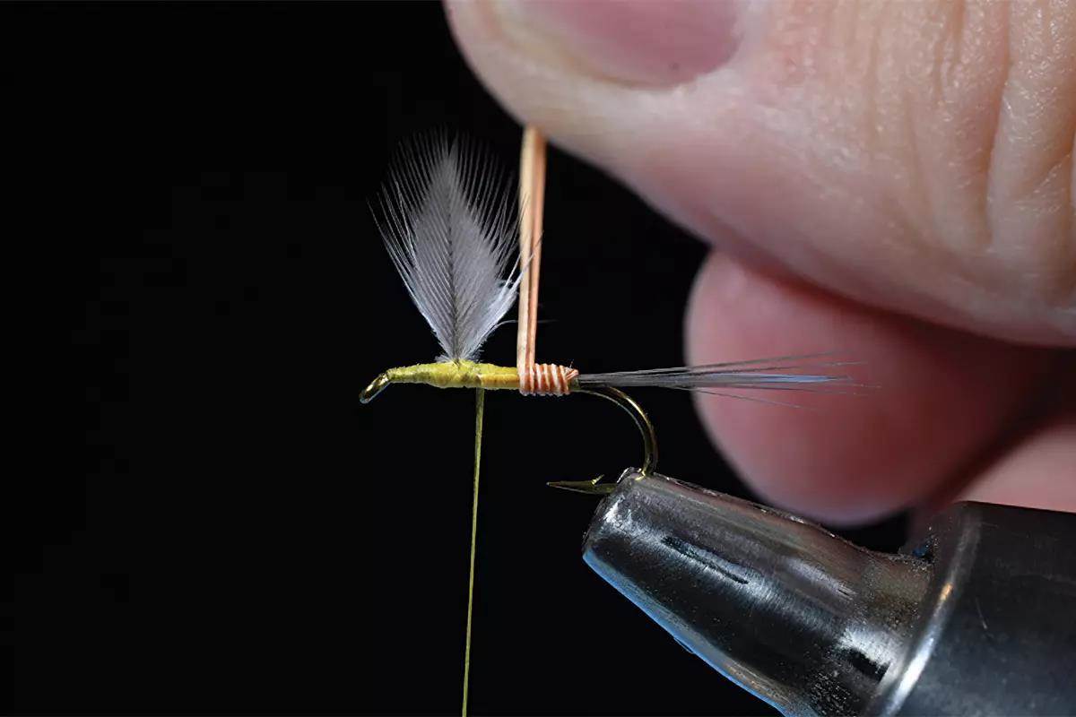 A step in a fly-tying tutorial; a hook and materials in a vise. 