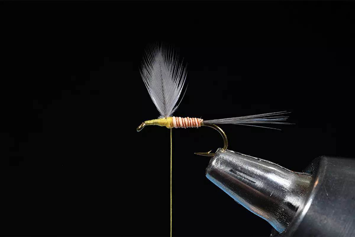 A step in a fly-tying tutorial; a hook and materials in a vise. 