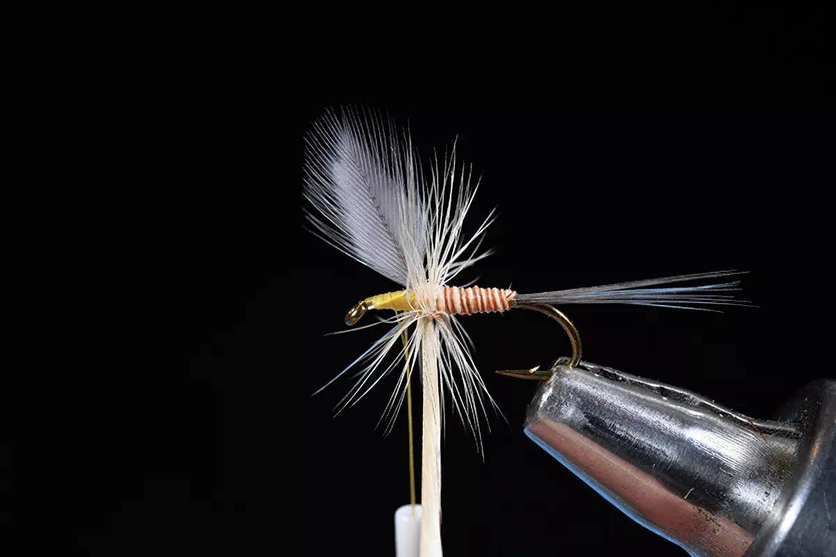 A step in a fly-tying tutorial; a hook and materials in a vise. 