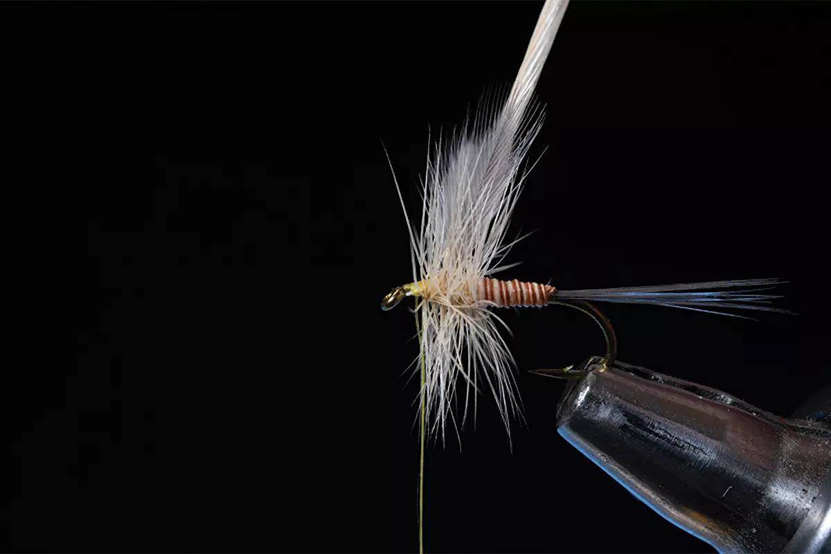 A step in a fly-tying tutorial; a hook and materials in a vise. 