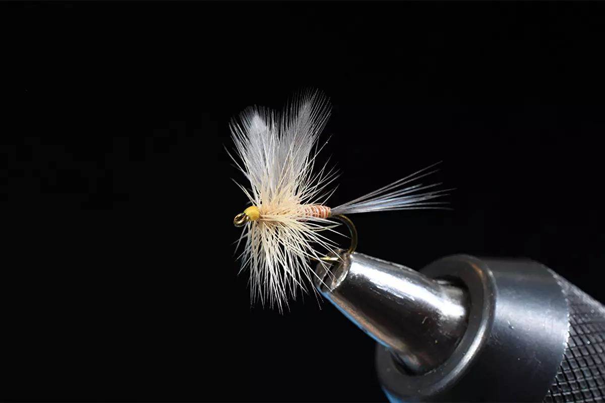 A step in a fly-tying tutorial; a hook and materials in a vise. 