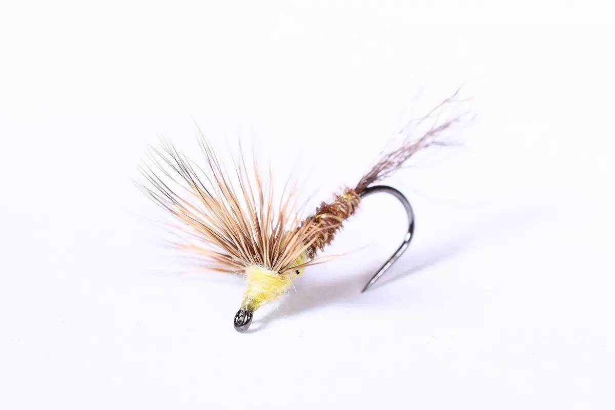 A dry fly on a white background.
