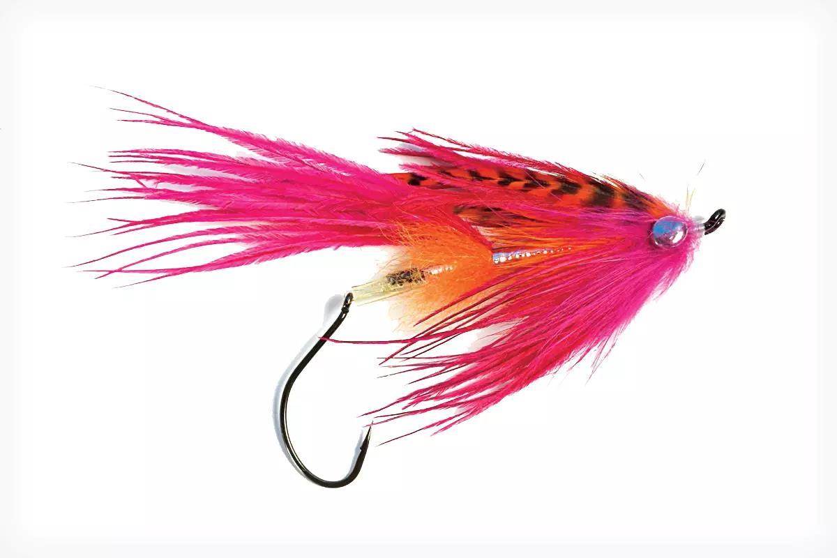 A large pink and orange steelhead Intruder fly.