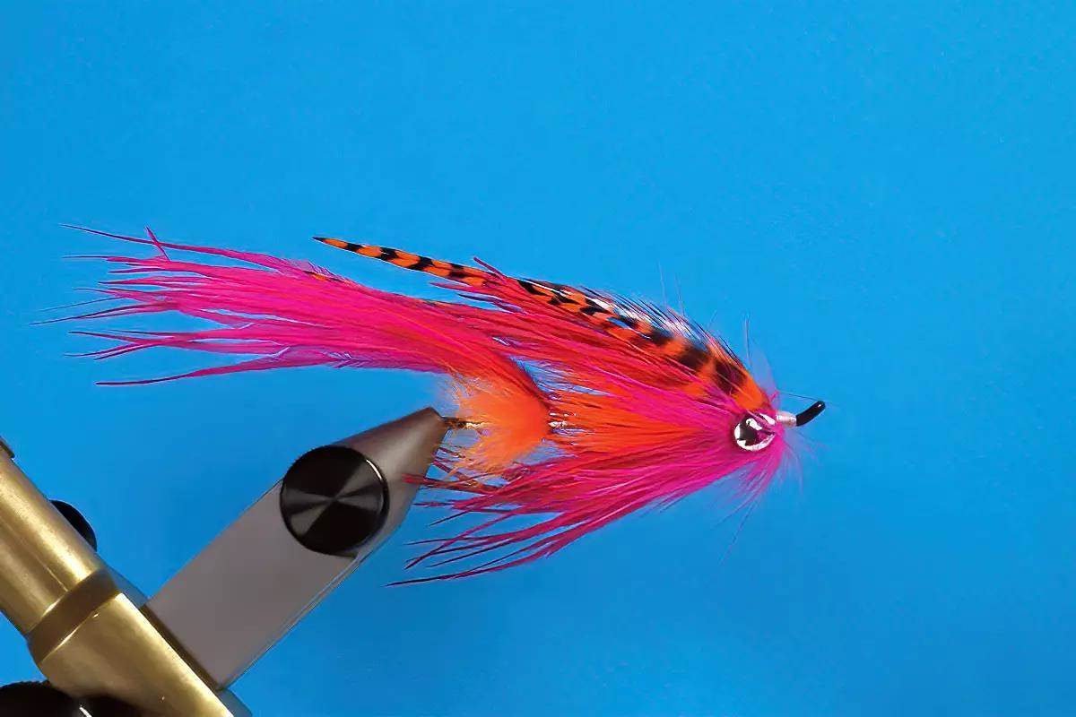 A hook in a vise; a step in a fly-tying tutorial.