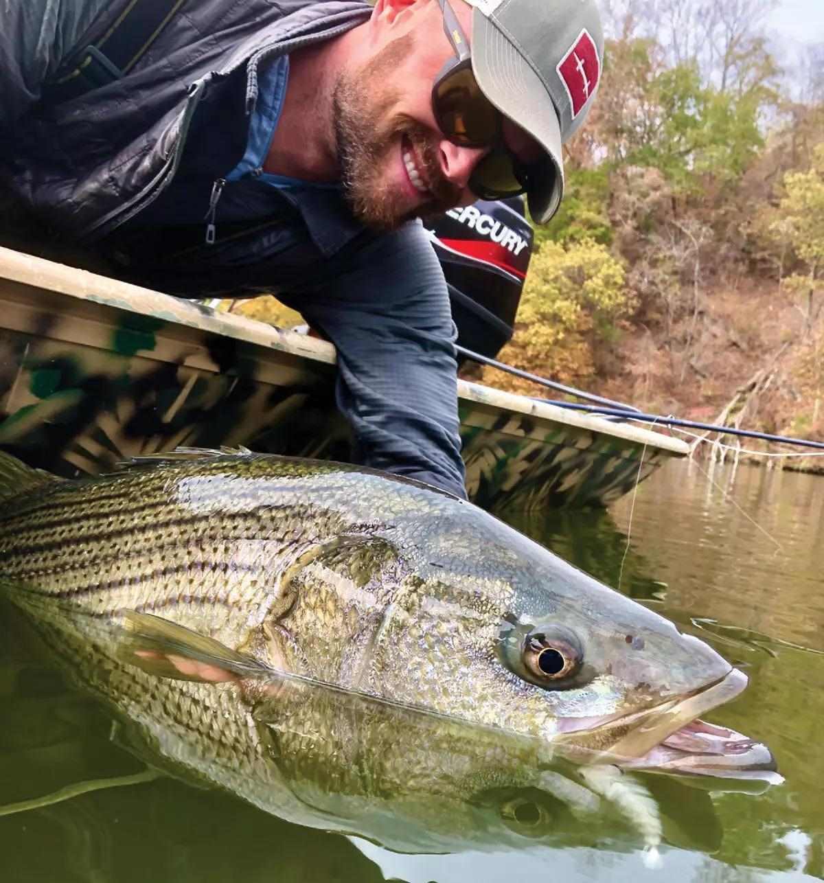 Cold outside? Let's fish for striper bass, Sports