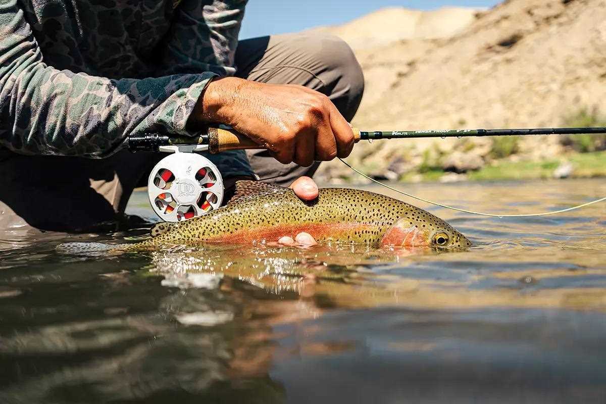 A rainbow trout held half in the water, a fly rod and reel held over the trout in a desert river setting.