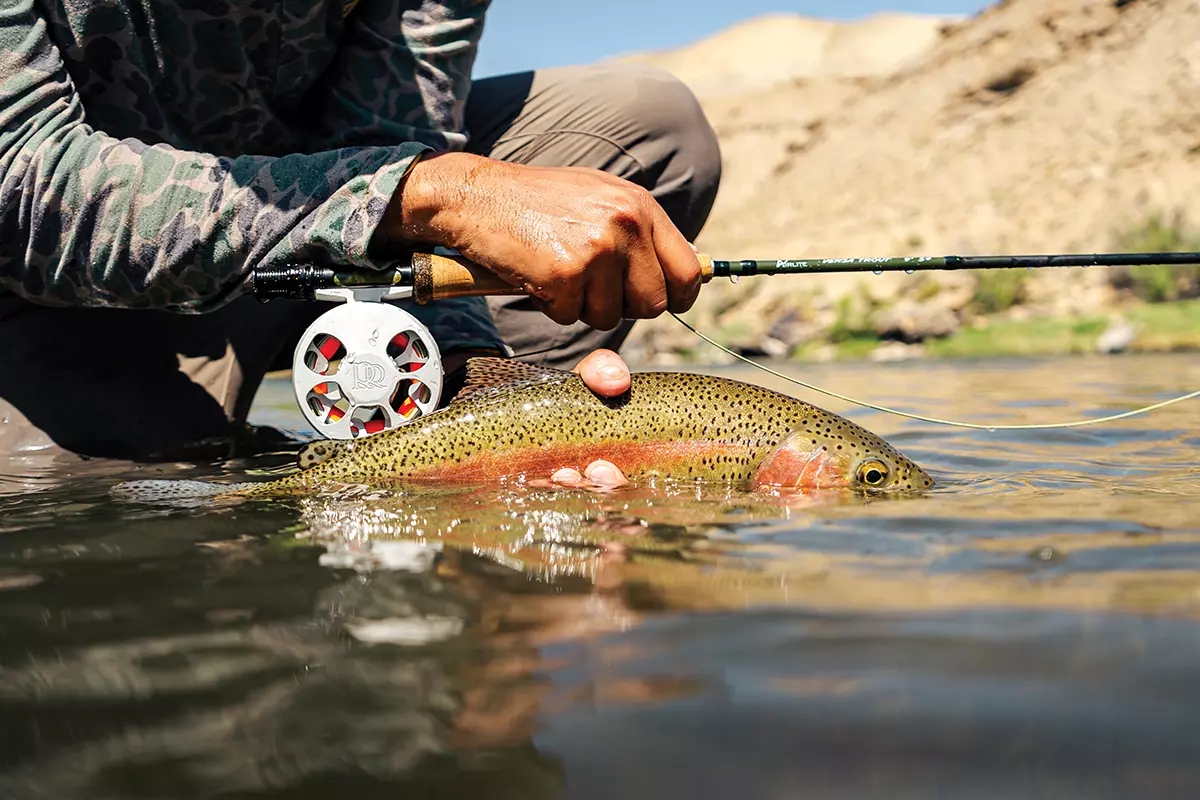 From Fresh to Salt: Celebrating New Fly Reel Collaborations - Fly Fisherman