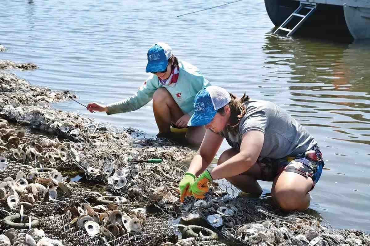 Pearls in the Lagoon: Oyster Restoration Brings Good Fishing, Great Vibes