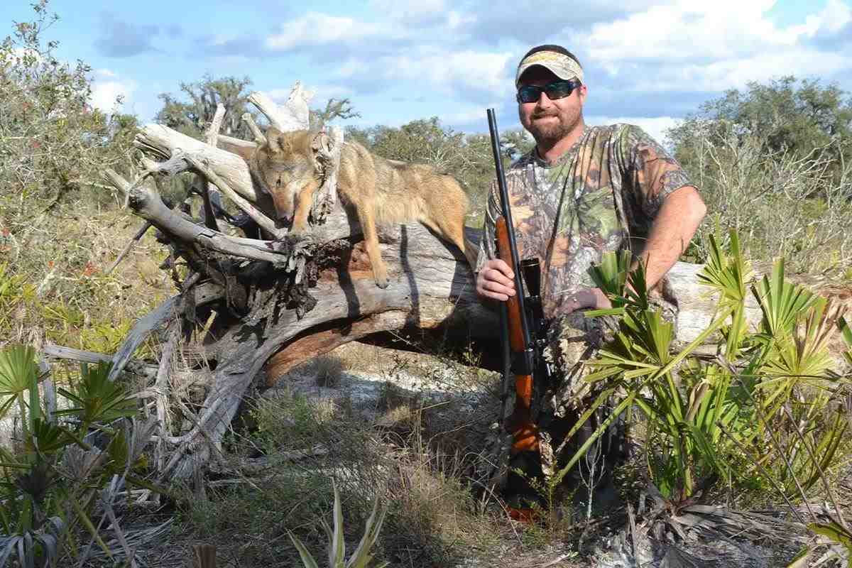 Hunter with downed coyote.