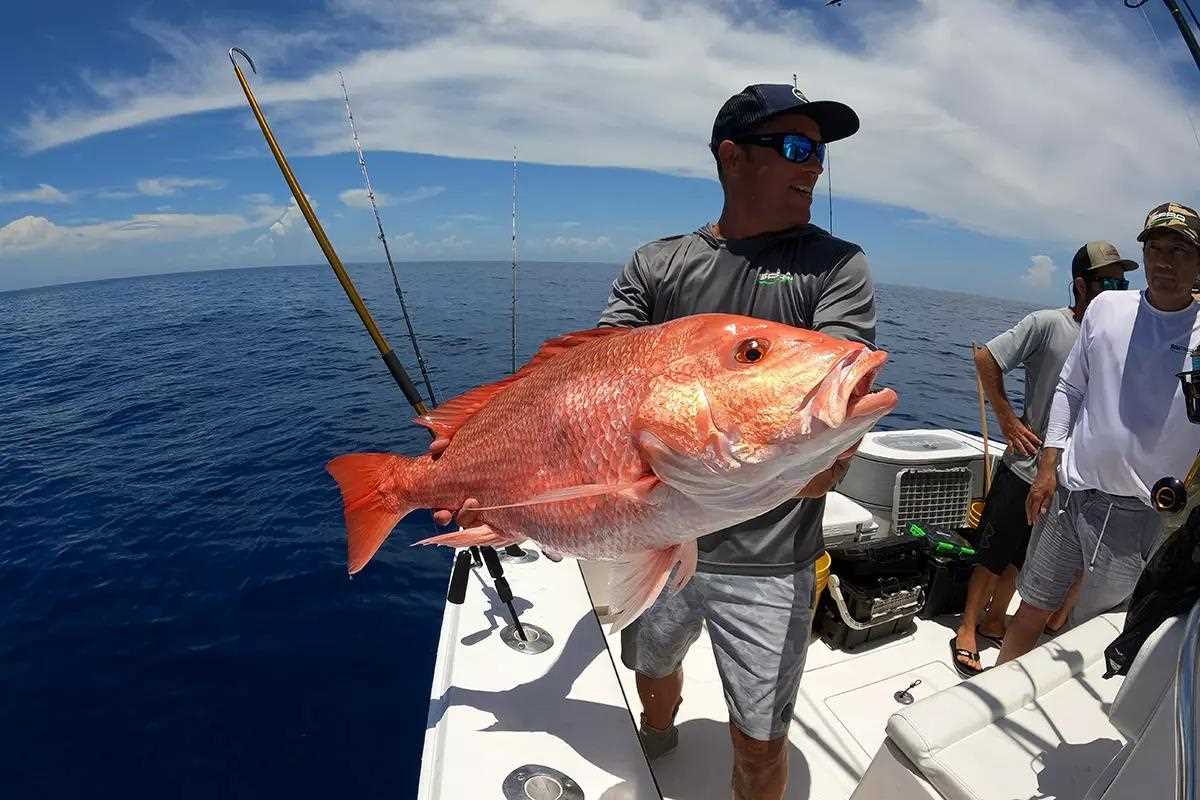 Best Gear and Rigs for Florida Red Snapper - Florida Sportsman