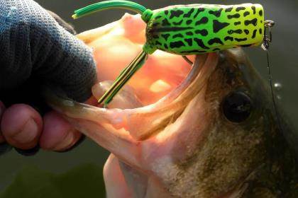 best bass fishing lures jacksonville fl Aorace 20pcs Kit Mixed Including Minnow Popper Crank and Plastic Soft Lures Frog Lures for Saltwater Freshwater Trout Salmon Fishing : Sports & Outdoors Best Bass Lures For 2026