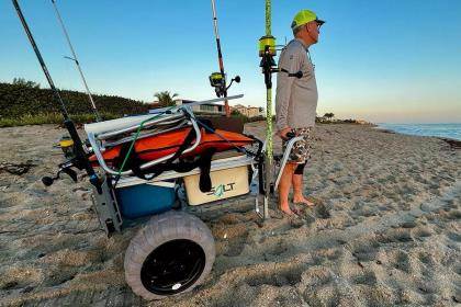 deep sea fishing reels prices Piscifun Nautix Saltwater Spinning with Full Aluminum Body 3000 Size:Coastal TW 80H 7.1:1 The single ball bearing Berkley Big Game Rod freshwater aquarium accessory