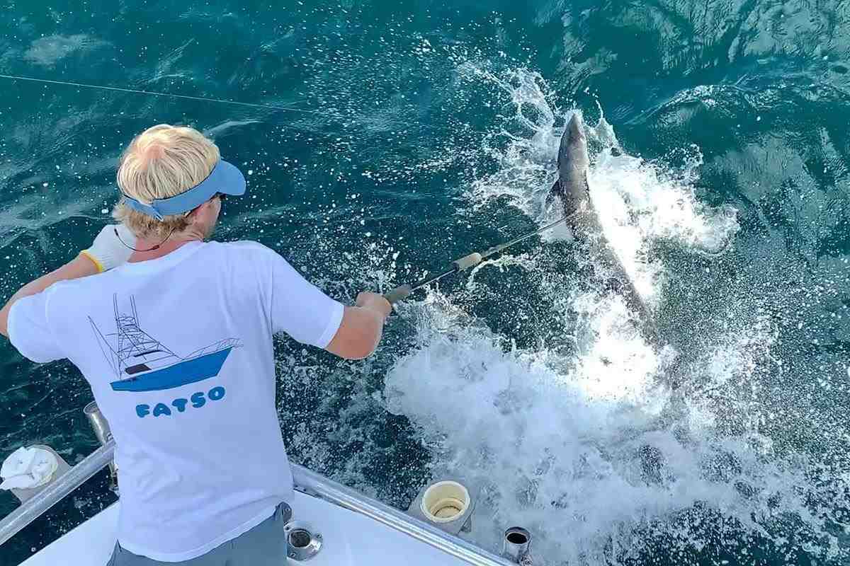 man gaffs a kingfish behind a boat