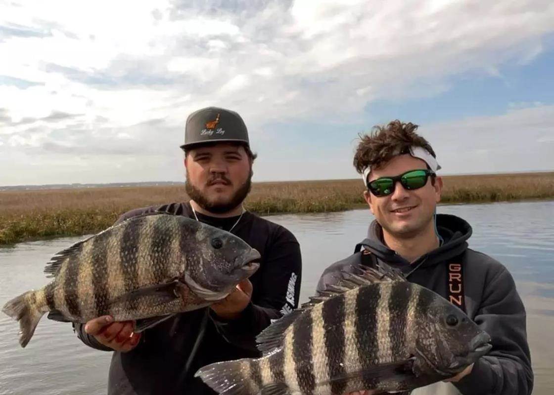sheepshead-fsf-ne