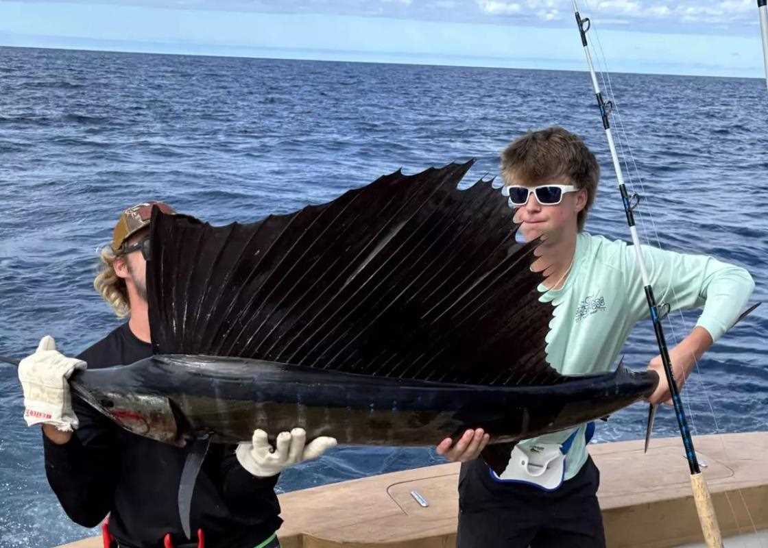 sailfish-fsf-ne