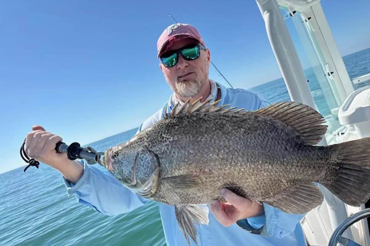tripletail-fsf-sw