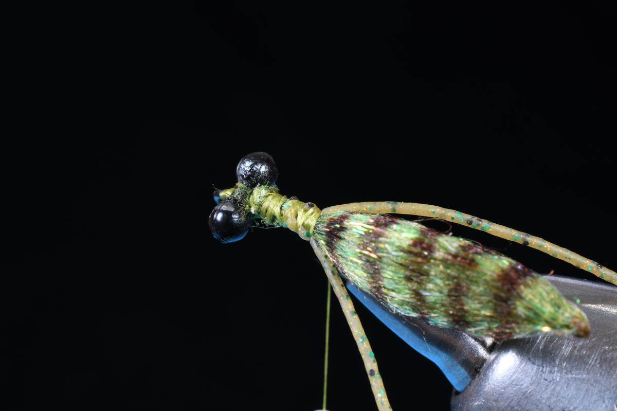 Western Dragonfly Nymph