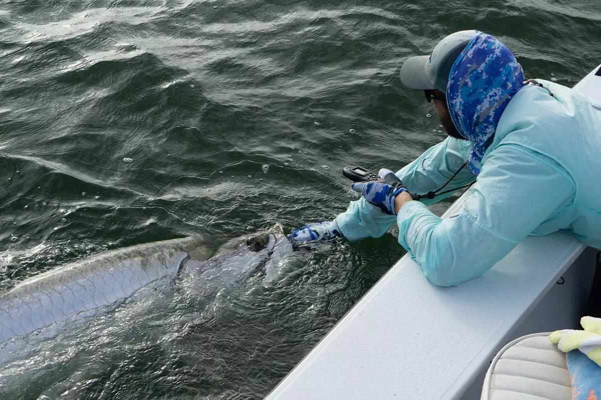 Best Practices for Catching and Releasing Tarpon