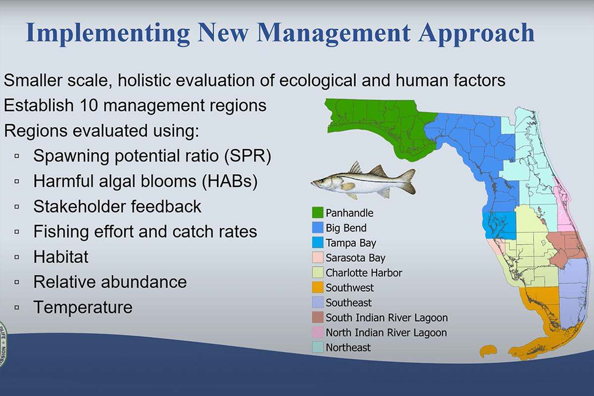 FWC is Moving Towards Ten Regions for Snook Regulations, Wha