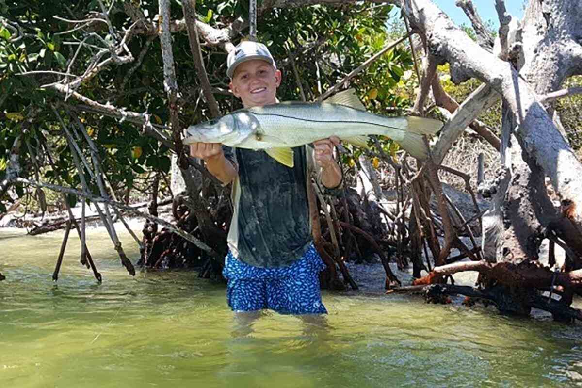 FWC is Moving Towards Ten Regions for Snook Regulations, What Do You Think?