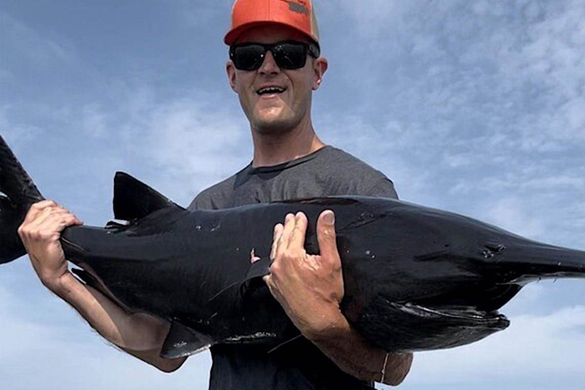 Rare Pitch-Black Paddlefish Snagged; State Record in Tennessee