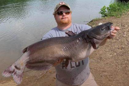 Tactics For Rigging and Catching Moving Water Catfish - Game & Fish