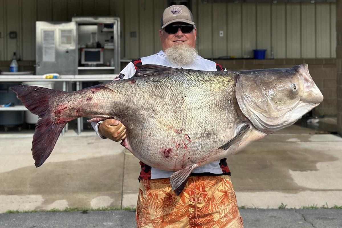 118-Pound Uninvited Fish Species Breaks State Record
