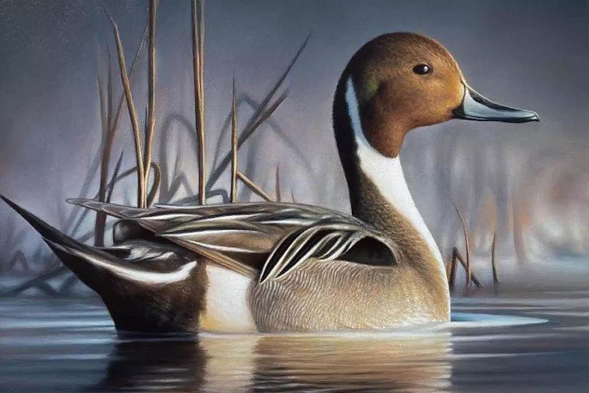 G&F Digest Fatal Plane Crash in Alaska, Duck Stamp Winner, Game & Fish