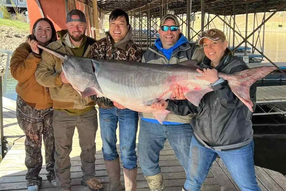 Show Me the Record Book: New World Record Paddlefish Reporte